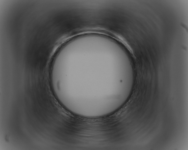 X0000093361360200710111301