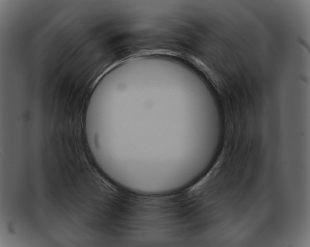X0000093361361200710111301