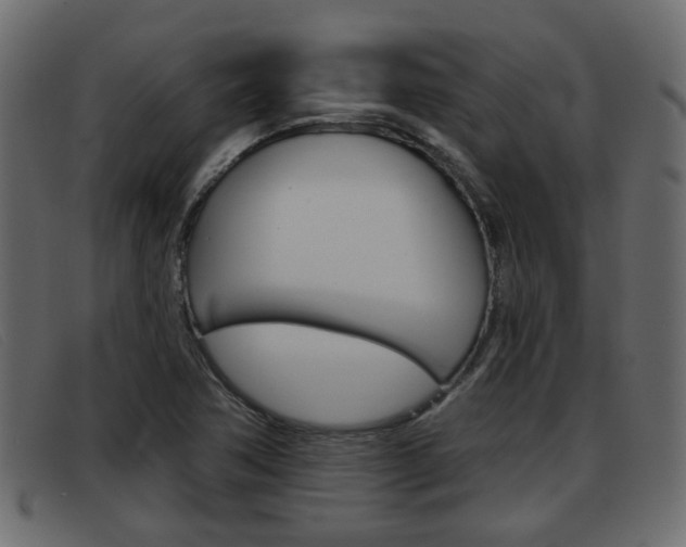 X0000093361362200710111301