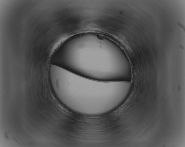 X0000093361363200710111301