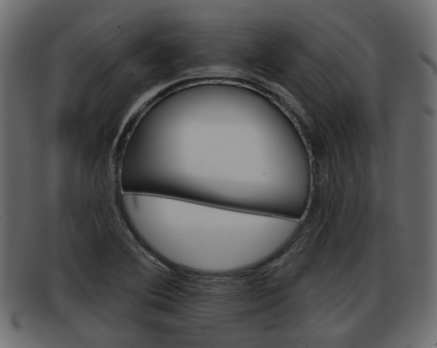 X0000093361364200710111301