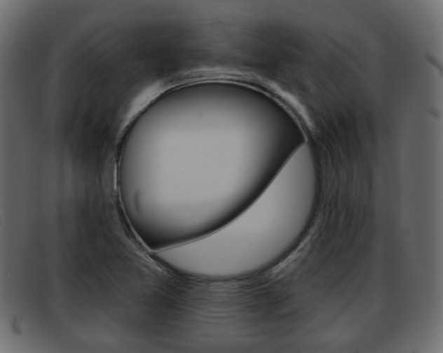 X0000093361365200710111301