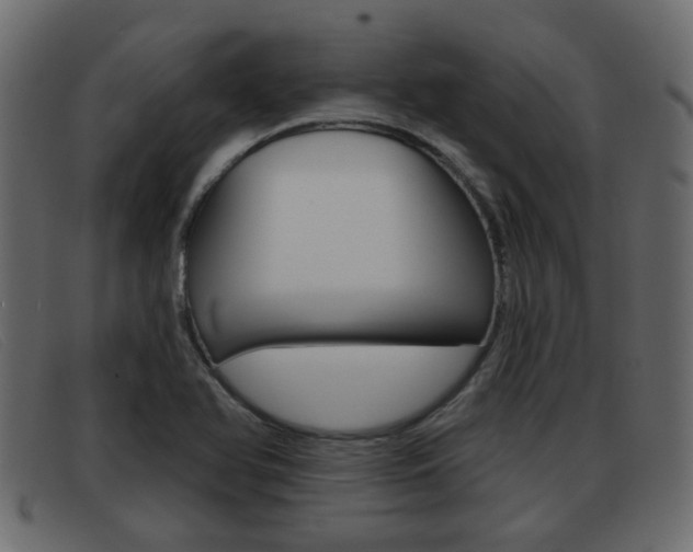 X0000093361366200710111301