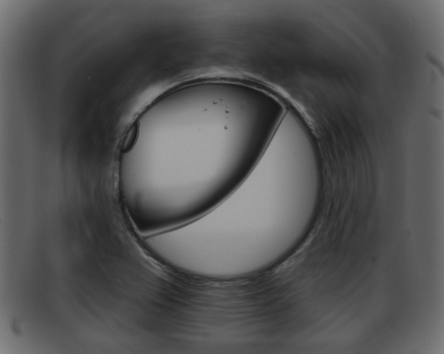 X0000093361367200710111301