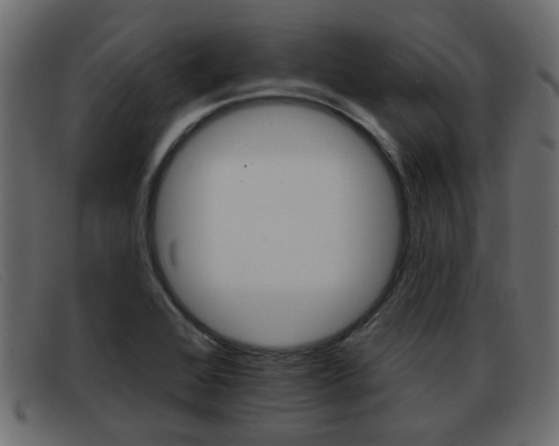 X0000093361368200710111301