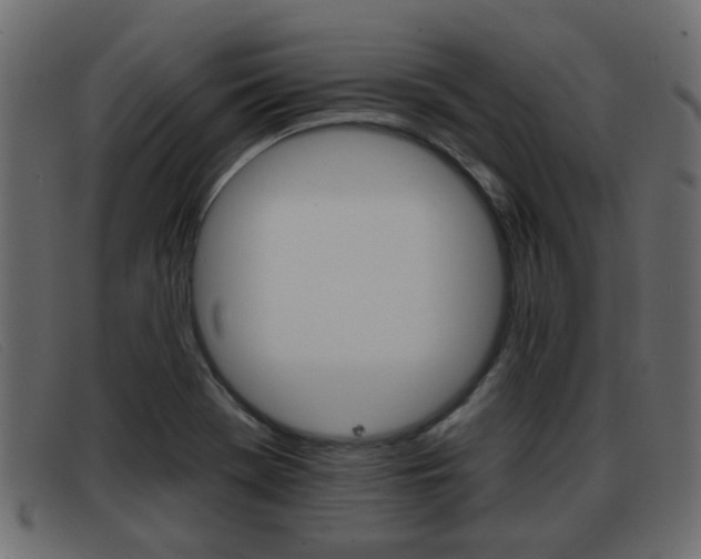 X0000093361369200710111301