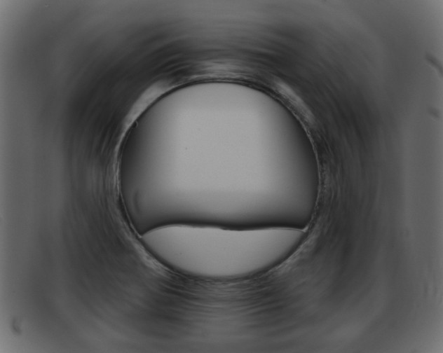X0000093361370200710111301