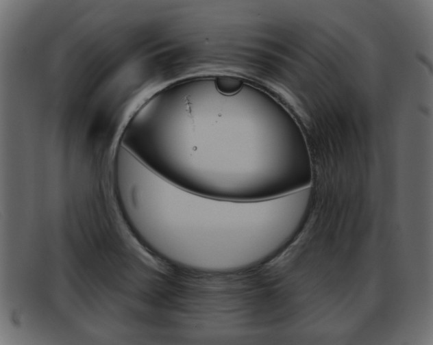 X0000093361371200710111301
