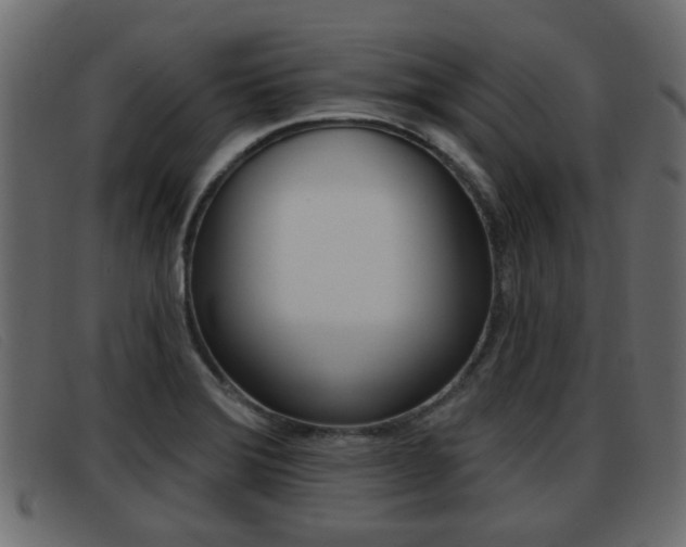 X0000093361372200710111301