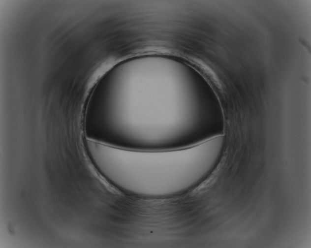 X0000093361373200710111301