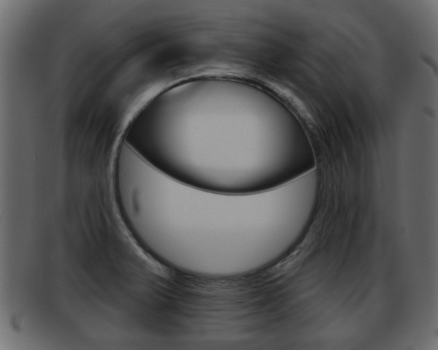 X0000093361375200710111301