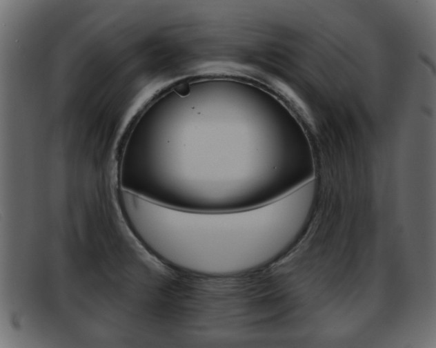 X0000093361376200710111301