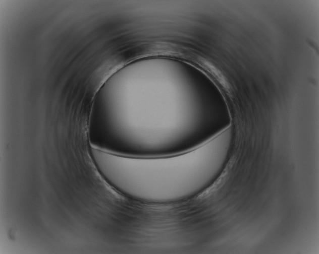 X0000093361377200710111301