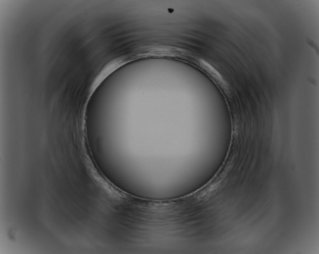 X0000093361378200710111301