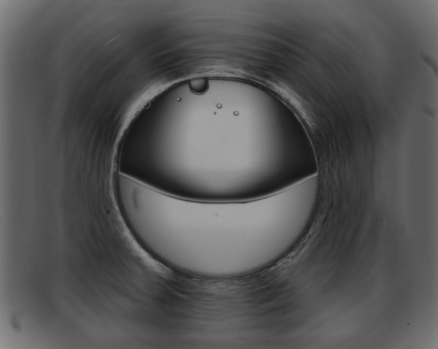 X0000093361379200710111300