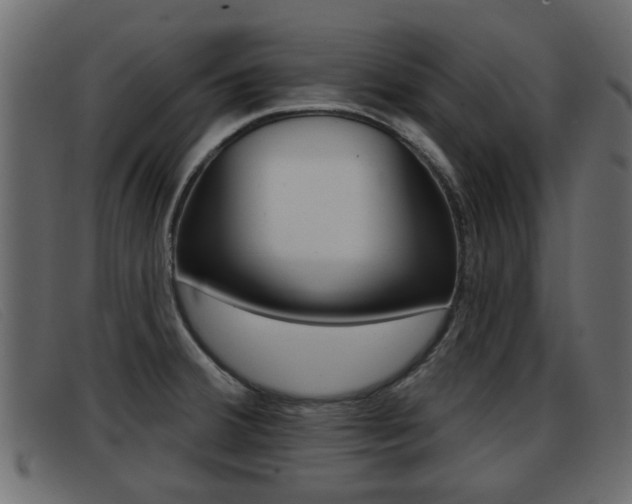 X0000093361380200710111300
