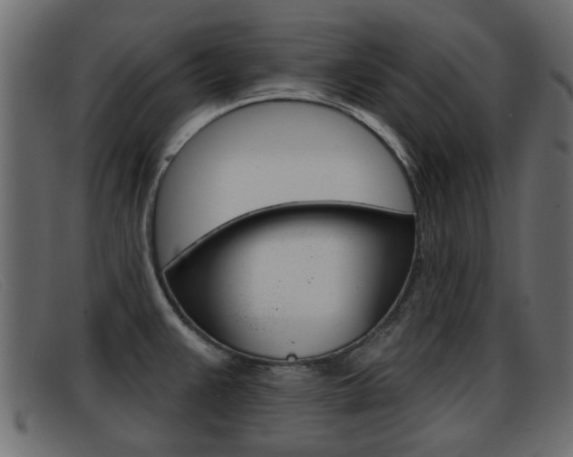 X0000093361383200710111300