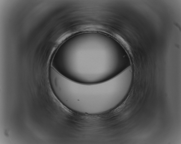 X0000093361384200710111300