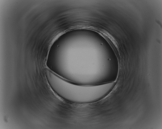 X0000093361385200710111300