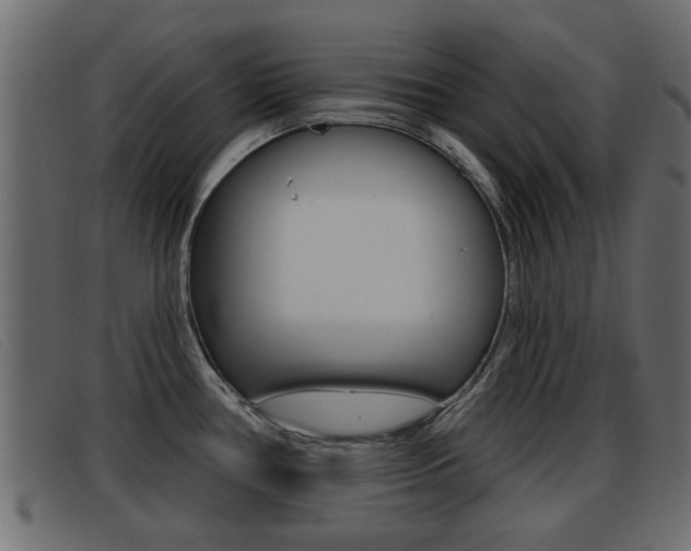 X0000093361386200710111300