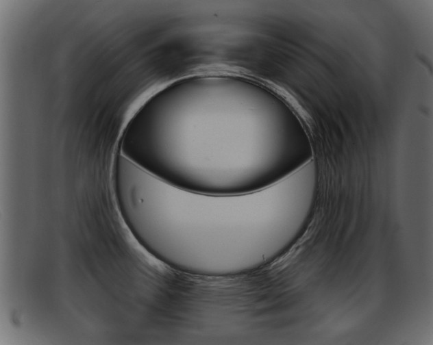 X0000093361387200710111300