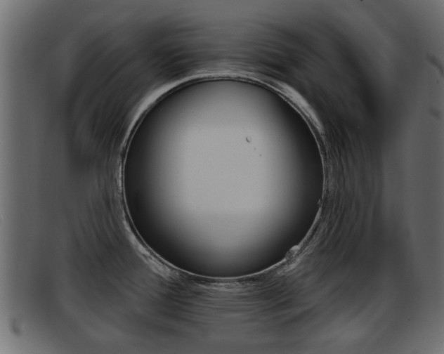 X0000093361388200710111300