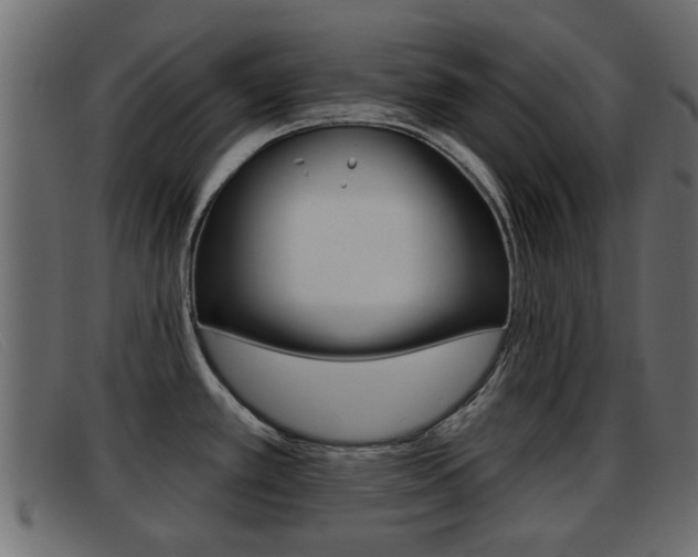 X0000093361389200710111300