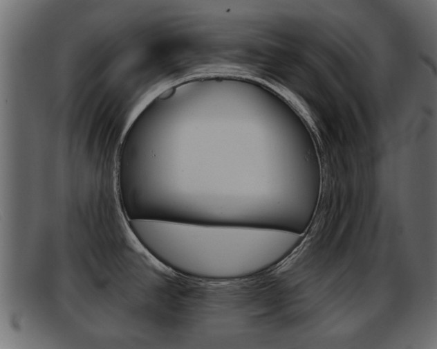 X0000093361390200710111300