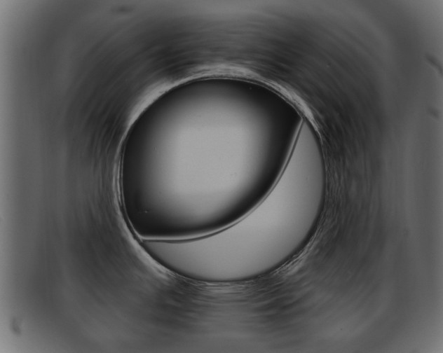X0000093361391200710111300