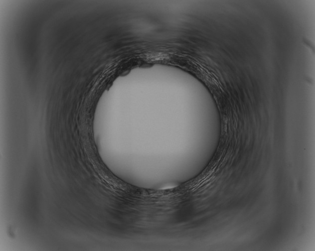 X0000093361393200710111300