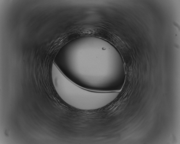 X0000093361394200710111300