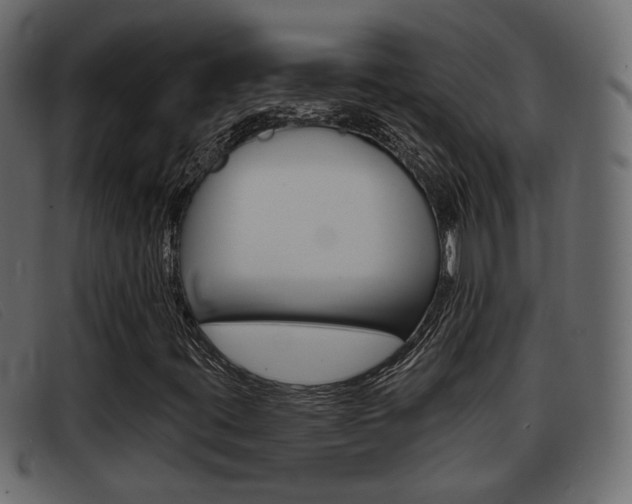 X0000093361395200710111300