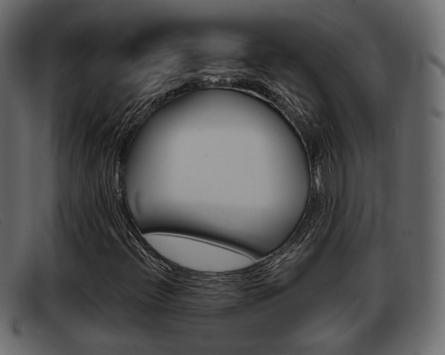X0000093361396200710111300