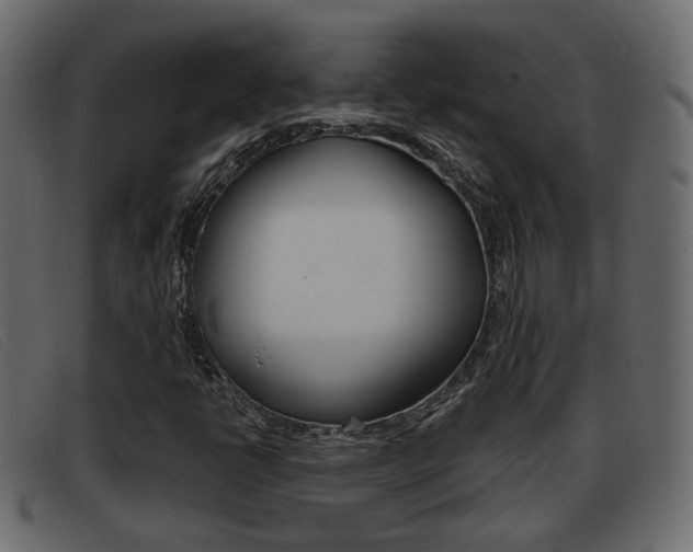 X0000093361398200710111300