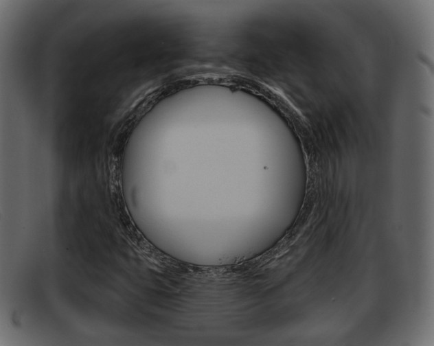 X0000093361399200710111300