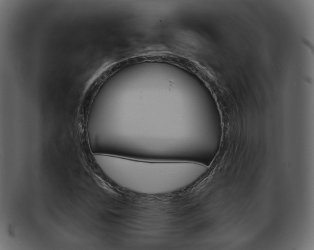 X0000093361400200710111300