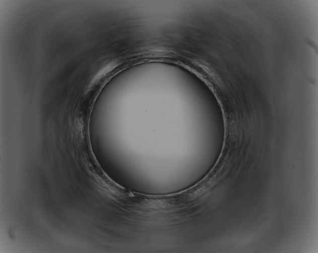 X0000093361402200710111300