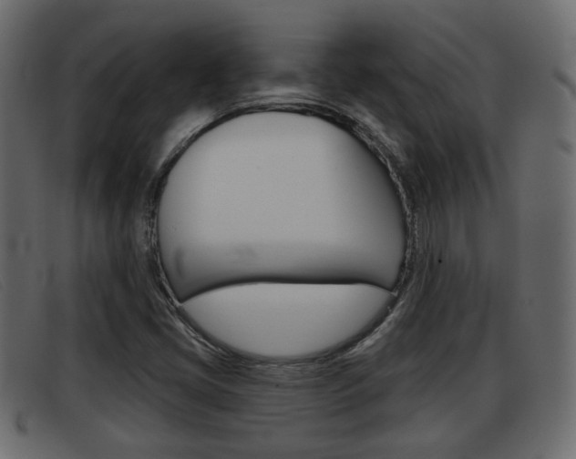 X0000093361405200710111300