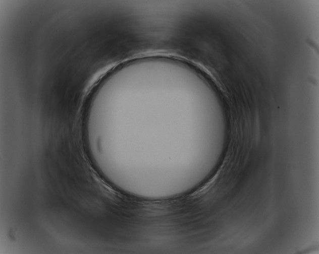 X0000093361406200710111300