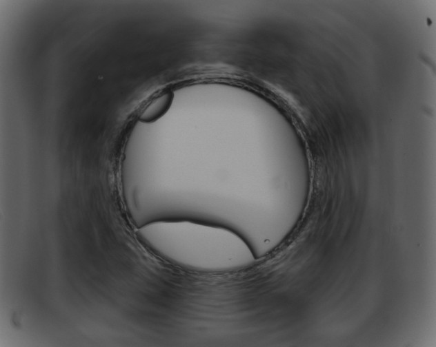 X0000093361407200710111300