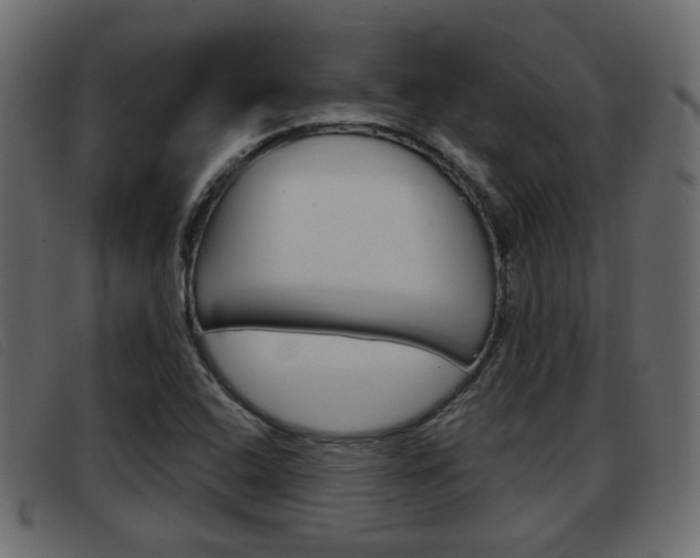 X0000093361408200710111300
