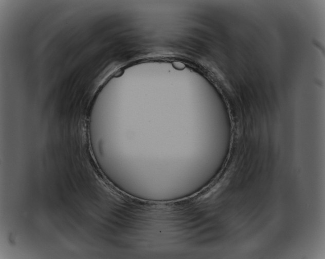 X0000093361409200710111300