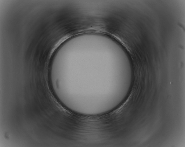 X0000093361410200710111300