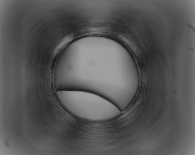 X0000093361411200710111300