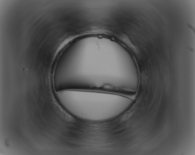 X0000093361412200710111300