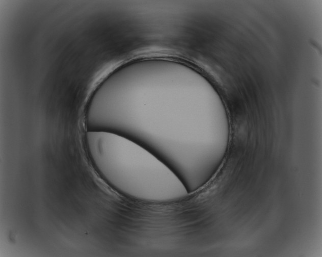X0000093361413200710111300
