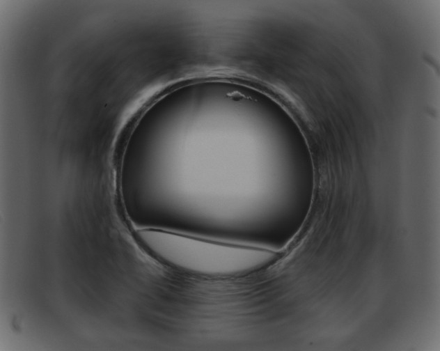 X0000093361414200710111300