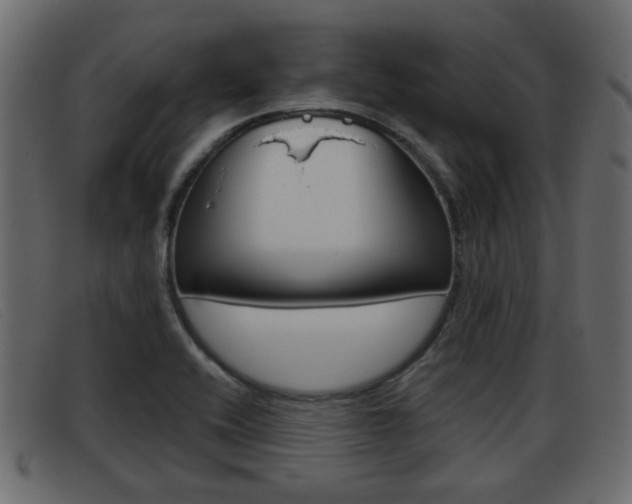 X0000093361416200710111300