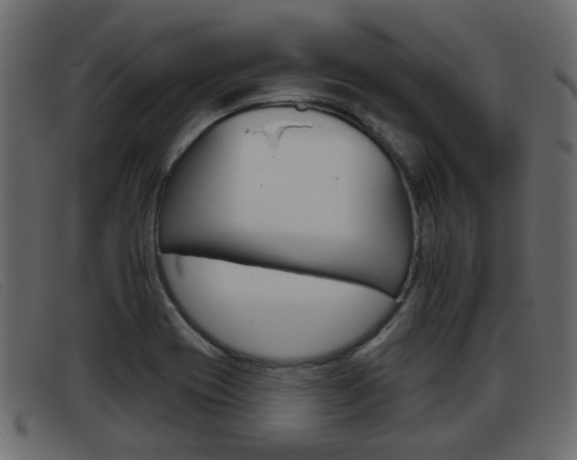 X0000093361417200710111300