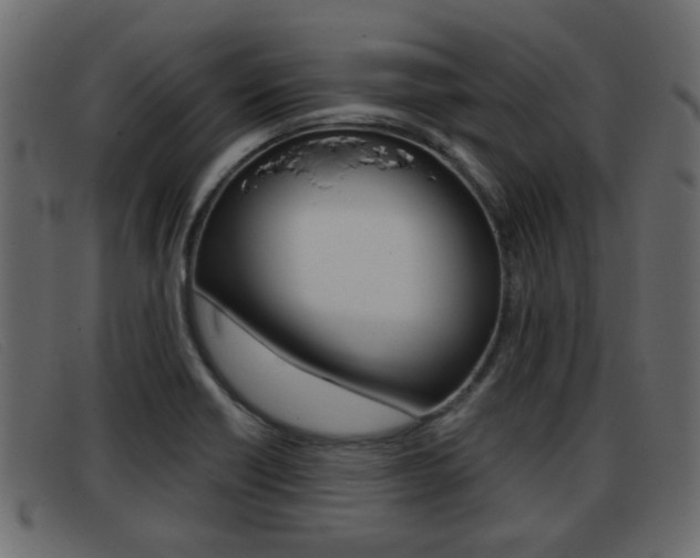 X0000093361418200710111300